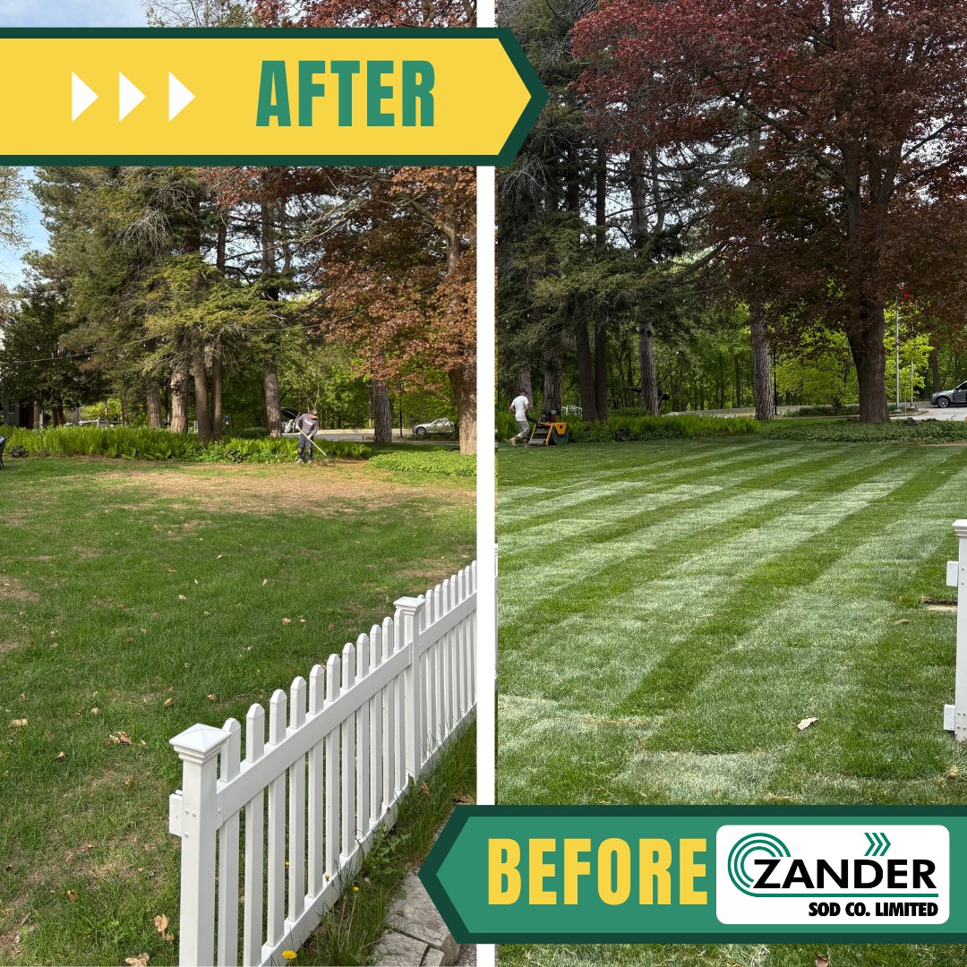 Sometimes Golf Course Clubhouse areas need a refresh. Our #TurfServices install team is ready to help with whatever the customer needs!

Visit l8r.it/lNGu to see all that we offer!