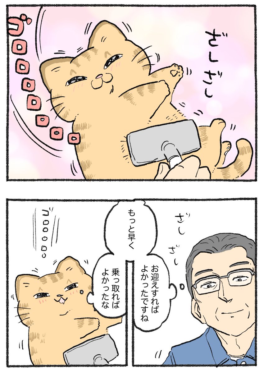 ねこに転生したおじさん。その771