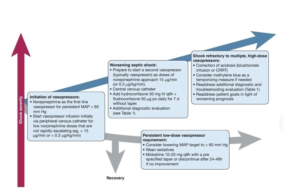 LeslieMegom's tweet photo. ✨💫¿Cómo escalamos la terapia con vasopresores y corticosteroides en Pacientes con choque séptico?
💉La HIDROCORTISONA y su rol en choque y otros corticosteroides. 
💉👉¿En qué dosis de vasopresor detenemos la escalada de dosis?
📚Notas cafeteras ☕️
☕️- Norepinefrina es el vasopresor de primera línea, salvo en casos de arritmias o mala reserva cardíaca.
❤️- Se considera vasopresina o fenilefrina en pacientes con riesgo de arritmias.
⏰️- Se recomienda un objetivo de MAP de >65-70 mm Hg.
⌛️- Un MAP inferior a 60 mm Hg puede comprometer la autorregulación cerebral.🧠
➡️- Se inicia un segundo vasopresor  medida que las dosis de norepinefrina se acercan a 15 μg/min (o 0,3 μg/kg/min).
💉Las pautas actuales proporcionan una recomendación débil para agregar vasopresina a la norepinefrina cuando las dosis de norepinefrina se acercan a 0,25 a 0,5 μg/kg/min, sin embargo la recomendación débil ⚠️se basó en los efectos vasopresores ahorradores de catecolaminas observados con la adición de vasopresina, con resultados clínicos dispares, un metanálisis de 23 ensayos clínicos mostró una reducción de la fibrilación auricular en los grupos que añadieron vasopresina a la noradrenalina, con efectos inconsistentes sobre la mortalidad y la terapia de reemplazo renal. Un metanálisis a nivel de paciente individual de cuatro ensayos clínicos no mostró asociación con la mortalidad, pero sí una reducción de las arritmias📉📈, un aumento de la isquemia digital y efectos inconsistentes sobre la necesidad de diálisis con la adición de vasopresina a las catecolaminas.
💉- Se recomienda el uso de corticosteroides en pacientes con requisitos crecientes de vasopresores.🩸
⏭️Añadimos corticosteroides ej. hidrocortisona 50 mg IV cada 6 horas más fludrocortisona 50 μg VO al día durante 7 días sin disminución gradual de la dosis , en pacientes con aumento de la necesidad de vasopresores, generalmente al iniciar un segundo vasopresor. 💉Se han evaluado múltiples terapias para mejorar la hemodinámica en pacientes con shock. Estas incluyen corticosteroides, azul de metileno, vitaminas como el ácido ascórbico o la tiamina, o combinaciones de estos agentes.
💉Los corticosteroides, tienen múltiples mecanismos de acción potenciales que incluyen efectos inmunológicos y efectos directos sobre los receptores de glucocorticoides endoteliales para reducir la vasoplejía. 
📚La evidencia es sólida sobre un efecto de los corticosteroides en dosis bajas a moderadas (<400 mg de equivalentes de hidrocortisona/día) en el aumento de la PA (aumento medio de la PAM, 5 mmHg) y el acortamiento de la duración del choque ( 1,5 días menos de vasopresores).
⏭️ Sin embargo, los corticosteroides pueden aumentar los eventos adversos como la hiperglucemia, la hipernatremia y la debilidad muscular. 
💉 Beneficio de los corticosteroides para la reducción de la mortalidad (riesgo relativo, 0,91; IC del 95 %, 0,84-0,99). 
⏭️Por lo tanto, las directrices sugieren el uso de corticosteroides para pacientes con choque séptico y "requerimiento continuo de vasopresores". La justificación para iniciar corticosteroides para pacientes con mayores requerimientos de vasopresores (en lugar de menores requerimientos) incluye el concepto de que los corticosteroides actúan potencialmente🤗 como agentes ahorradores de vasopresores para reducir los efectos adversos asociados a los vasopresores .
⏭️Uso de fludrocortisona con hidrocortisona,  reducción  en la mortalidad intrahospitalaria en pacientes que recibieron fludrocortisona más hidrocortisona, pero no tuvo el poder suficiente para detectar un efecto clínicamente factible.
🩺- Se discuten otros tratamientos como el azul de metileno y la vitamina C, pero con evidencia limitada.
➡️- Se deben considerar causas adicionales de choque persistente, como infecciones nosocomiales o choque obstructivo.⚠️
➡️Manejo de la acidosis.
〽️- Se puede administrar bicarbonato para corregir la acidosis severa.
〽️- TRR continua puede ser necesaria si  acidosis persiste.
Continua 👇🏽