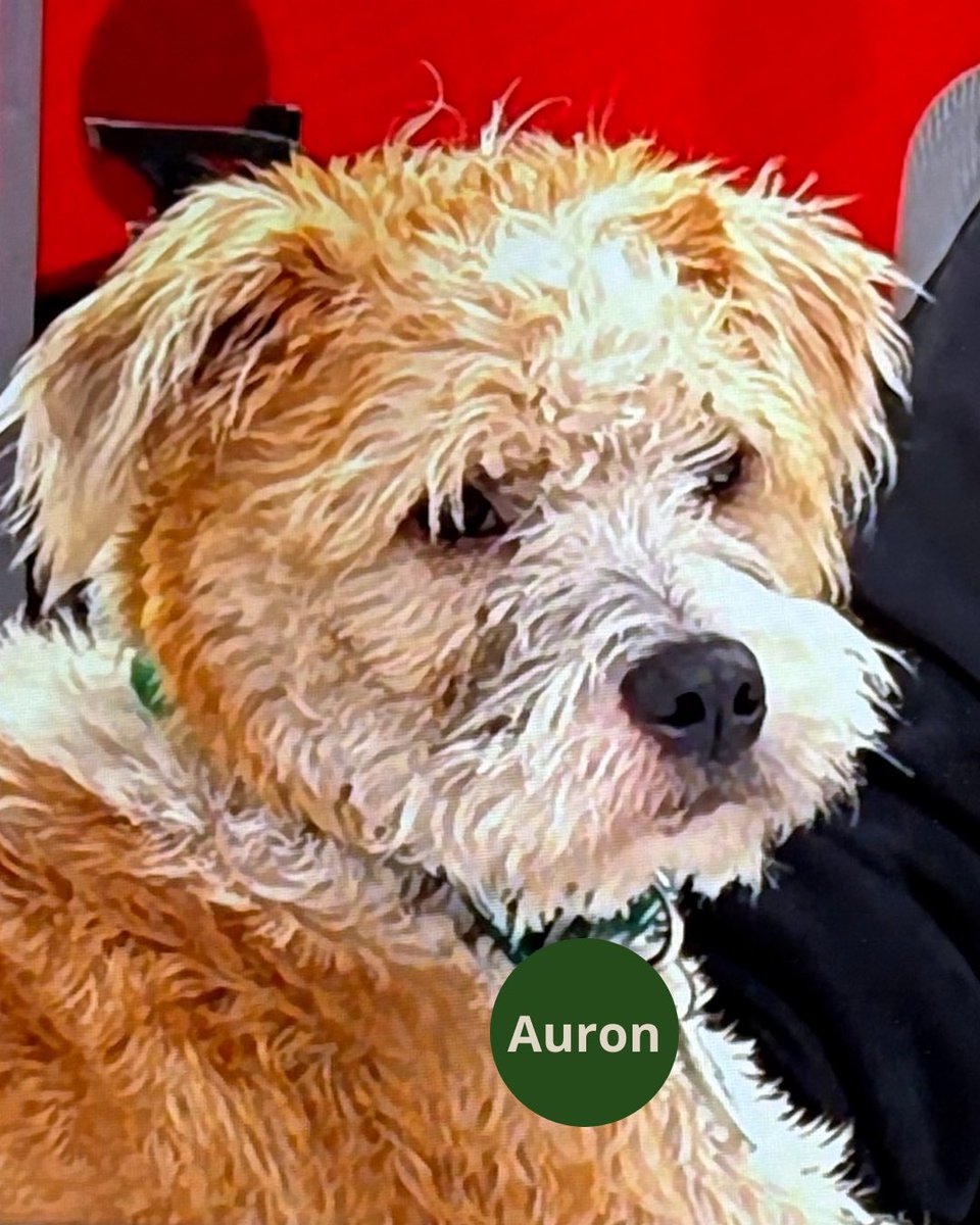 #NadieDiceNada <a href="/santitalle/">santiago talledo</a>  <a href="/nadiedicenada/">Nadie Dice Nada</a> _
2 posibles nombres para el nuevo integrante de la familia que están orientados a un nuevo comienzo o cambio

Auron (significa nuevo comienzo)

Kairo (significa momento indicado para un cambio)