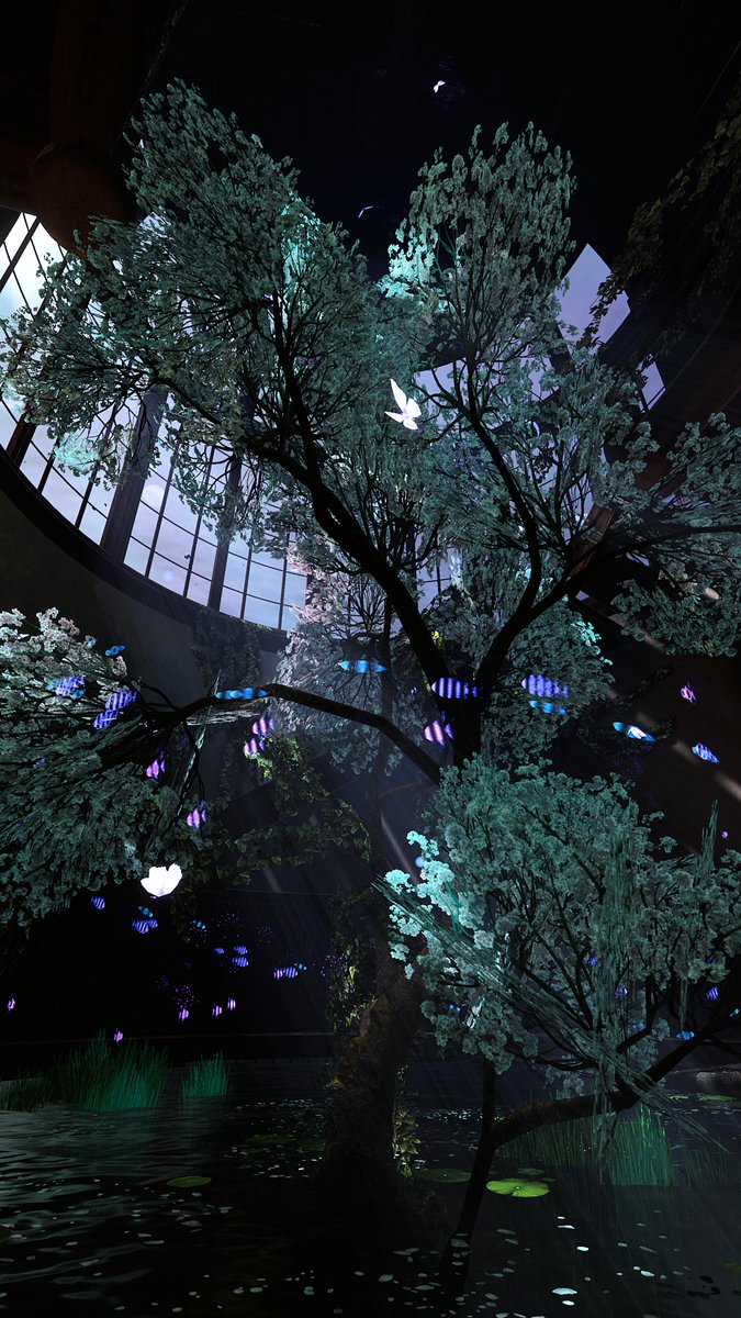 cho_co_rock's tweet photo. A Trace of A Witch [Retake]

VRChat World : 海の底、マ女の家 - The Witch's Hideaway 
Author : ぐーぜん

Before Version : https://t.co/s2rzkq3Pnc

#VRChat
#VRChat_world紹介
#VRChatPhotography https://t.co/CBfMMKrhDd