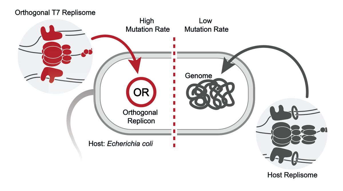 Scripps Research tweet media