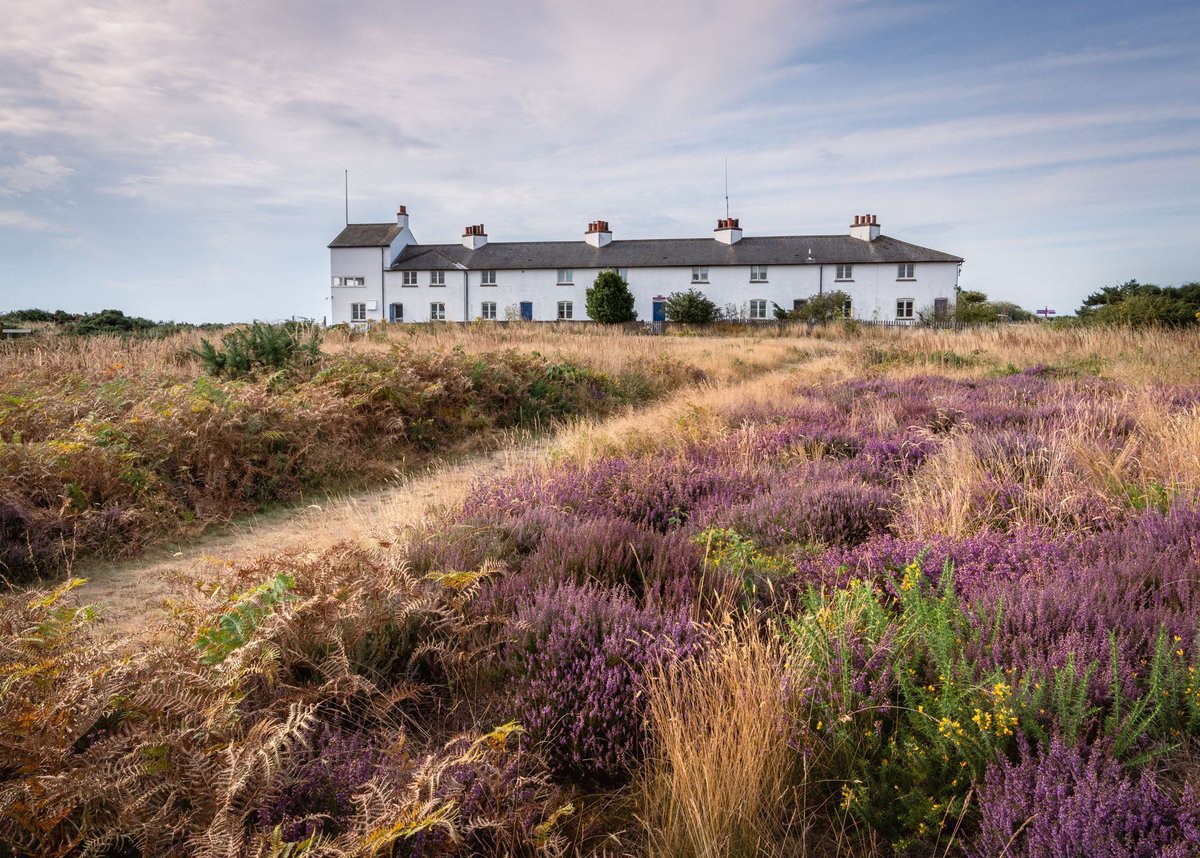The iconic Coastguard Cottages at Dunwich Heath National Trust 😍

📸 Gill Moon