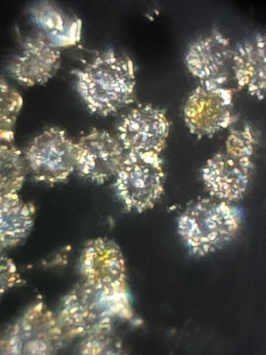 hollyastuart's tweet photo. Adventures In Microscopy: Echinacea Pollen
Big beautiful flowers, challenging pollen access... but worth it when you see the sparkling (and spiky!) darkfield images! Enjoy!
Foldscope 2.0, 340X lens
#FearlessMicroscopy #STEAM #ScienceIsBeautiful #GardenMicroscopy #Foldscope https://t.co/B4aoaCcv4l