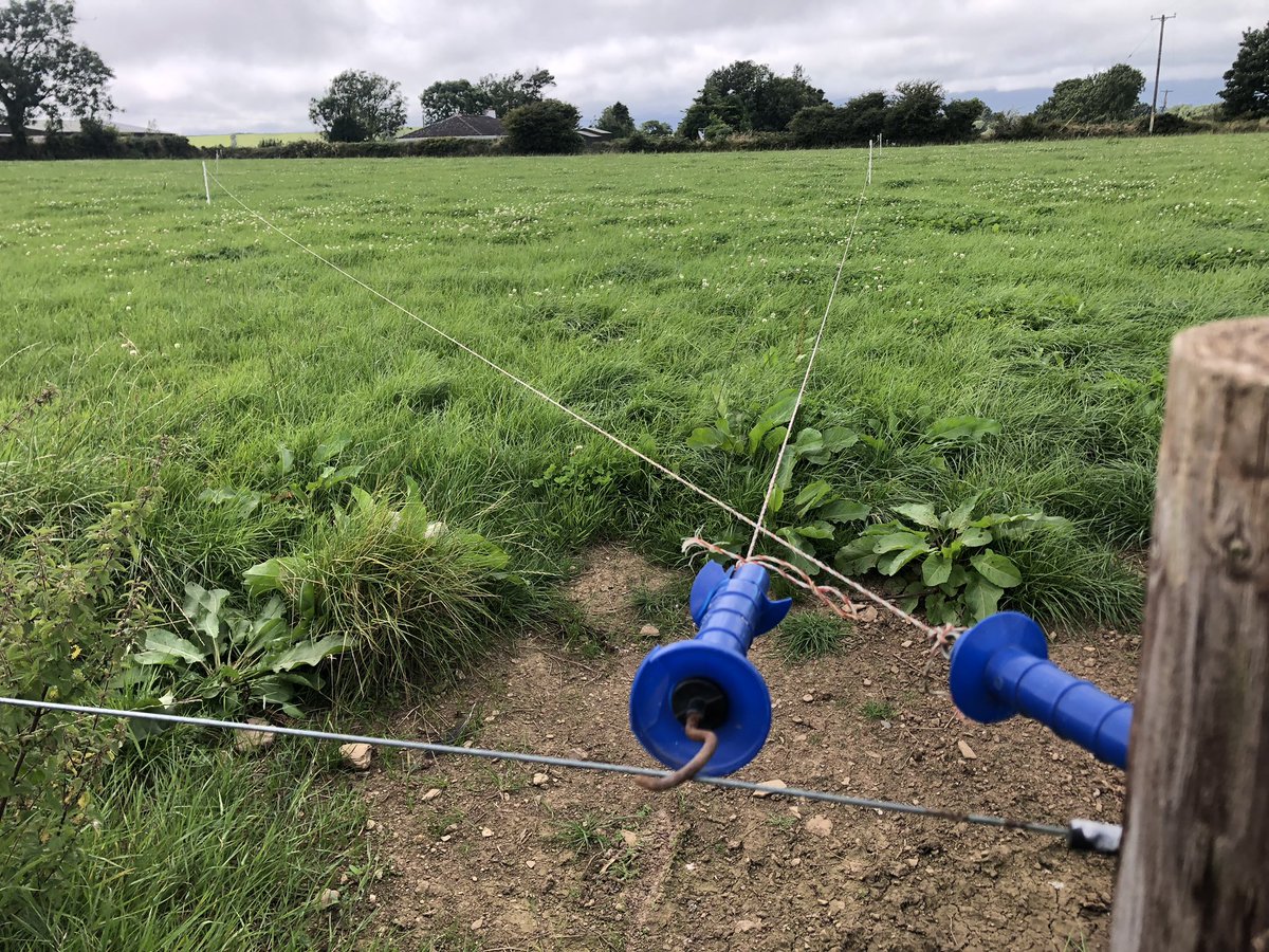 Kieran Sullivan tweet media