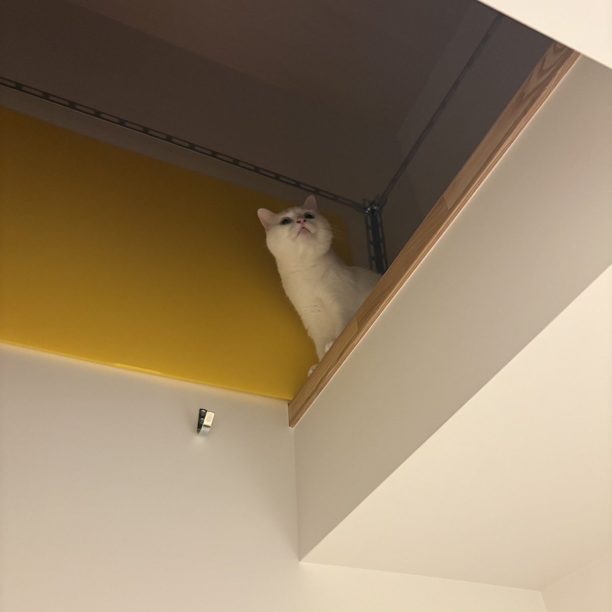 おやもち

ねますよ、お口ポッちゃん