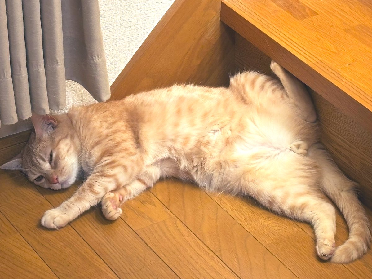 丸見えです