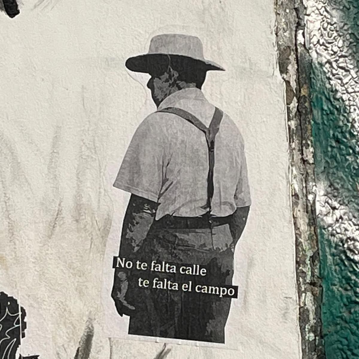 BibianaCollado's tweet photo. Eso🌾. https://t.co/PLvwUENunM