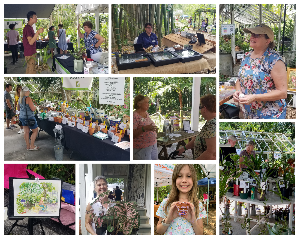 NehrlingGardens's tweet photo. Summer Excitement at Nehrling Gardens - https://t.co/g5VuDZzsqH https://t.co/NsXBpRDyxk