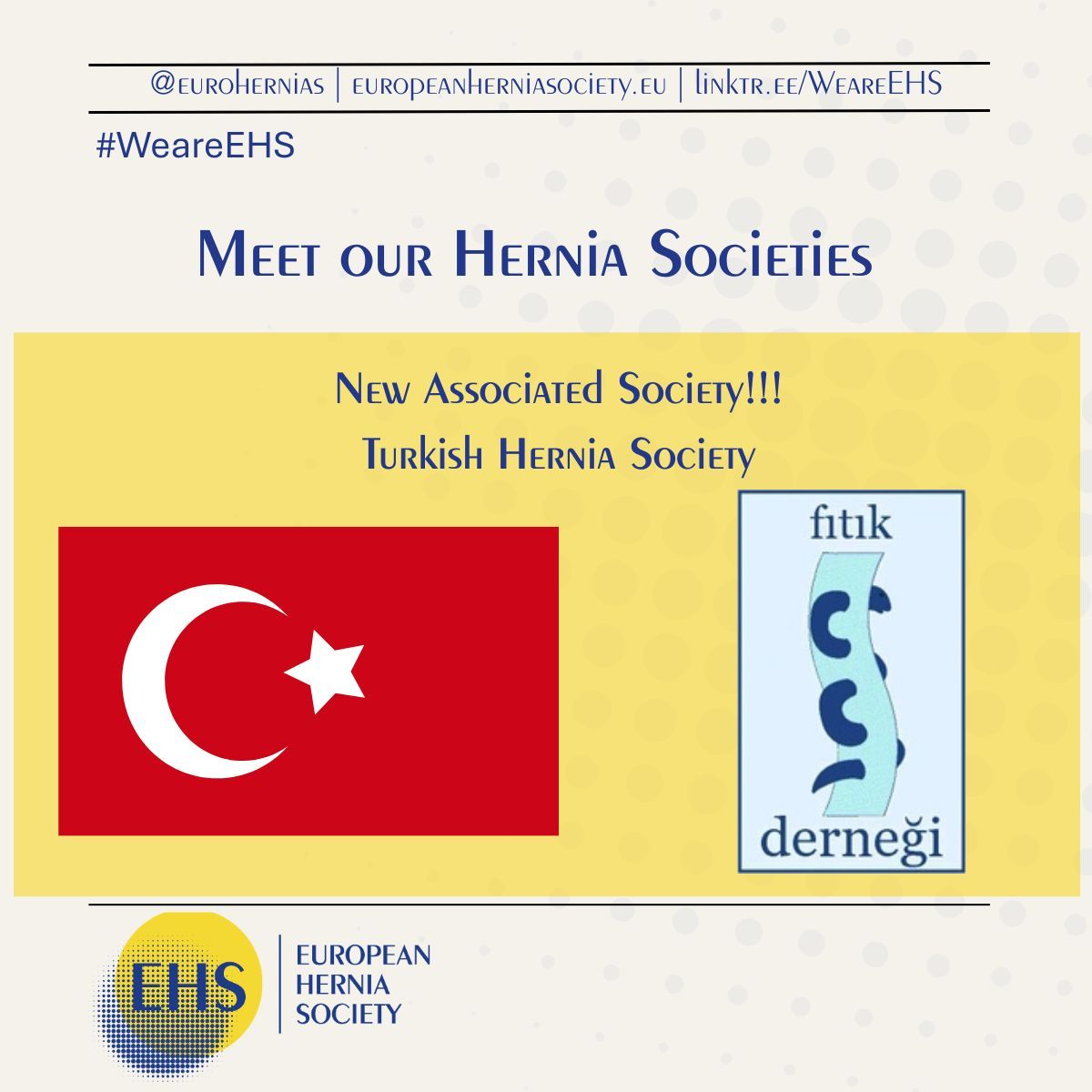 🇹🇷 Turkish Hernia Society

The Turkish Hernia Society is now officially an Associated Society of the EHS. We look forward to building stronger connections and shared progress in hernia surgery. 
fitikdernegi.org