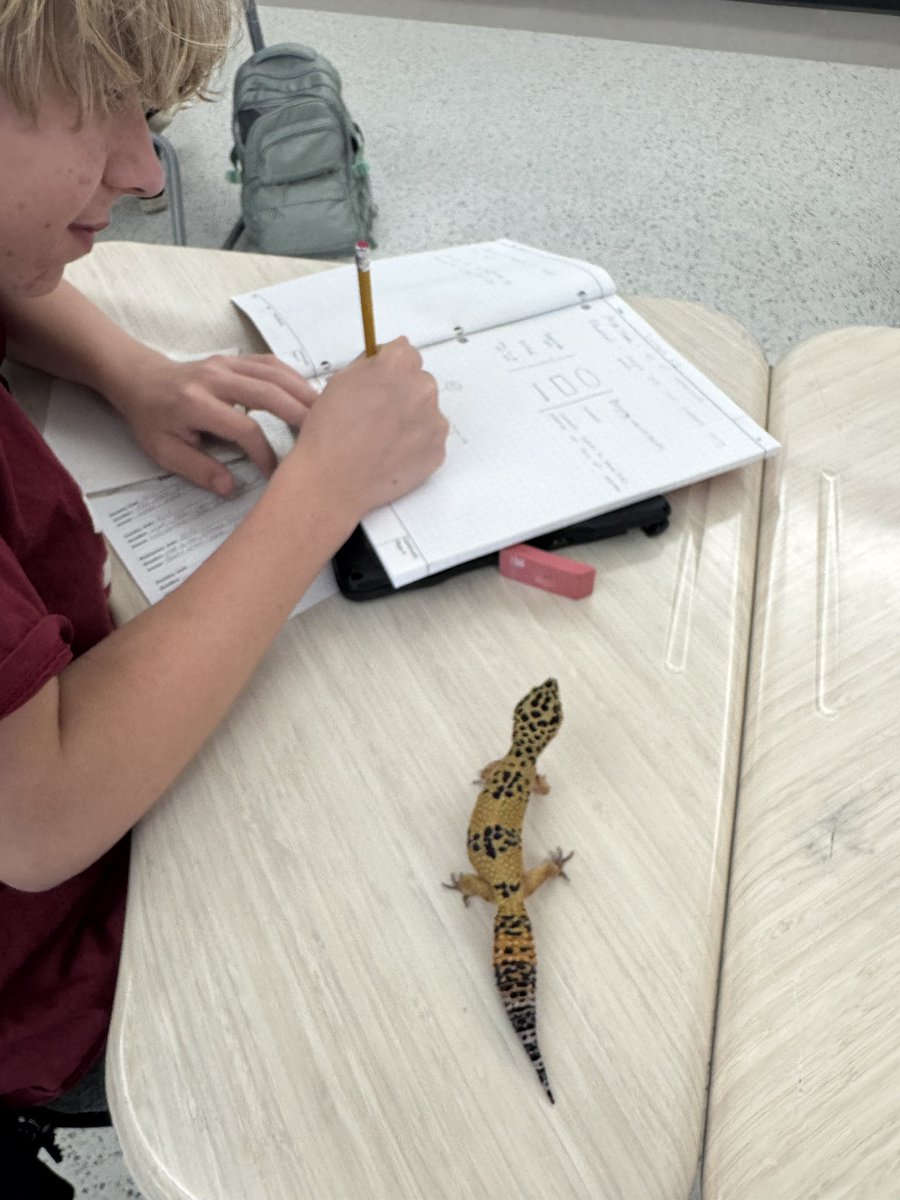 Echo helping with flowcharts! <a href="/PLTWorg/">Project Lead The Way</a> <a href="/BCAABulldogs/">The Academy</a>