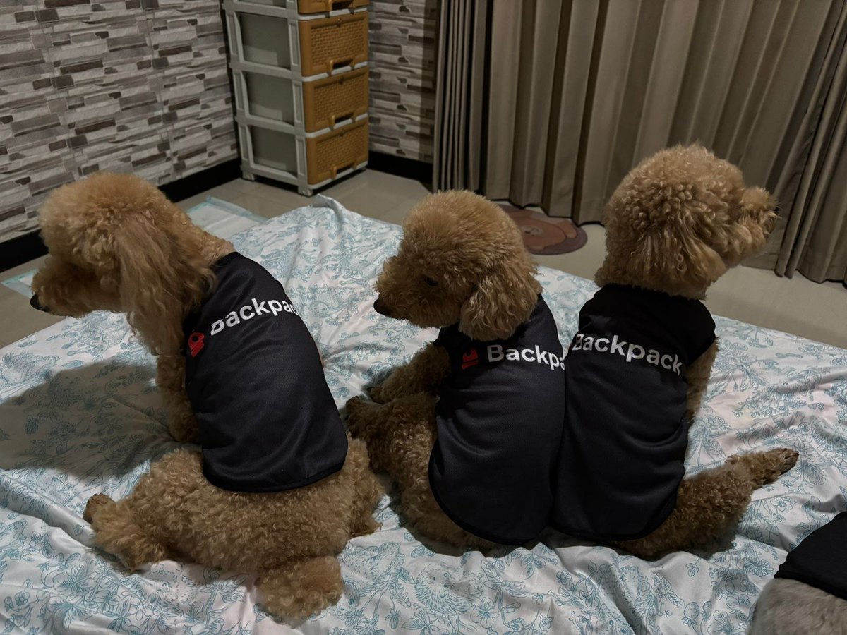 hodlyouwill (@hodlyouwill) on Twitter photo I referred a couple of my bros. If they need crypto, they buy it on <a href="/Backpack/">Backpack 🎒</a> <a href="/armaniferrante/">Armani Ferrante</a> I referred a couple of my bros. If they need crypto, they buy it on <a href="/Backpack/">Backpack 🎒</a> <a href="/armaniferrante/">Armani Ferrante</a>