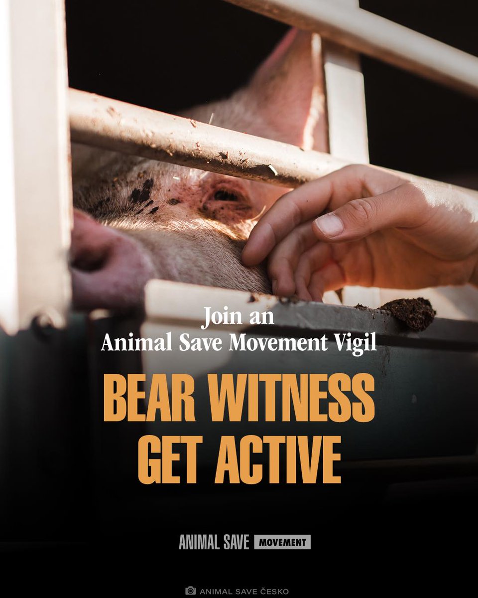 Stand with us to bear witness to animals on their final journey and advocate for a compassionate, vegan world. 

Join an Animal Save Movement vigil to witness their reality, show them love, and take action: thesavemovement.org/volunteer