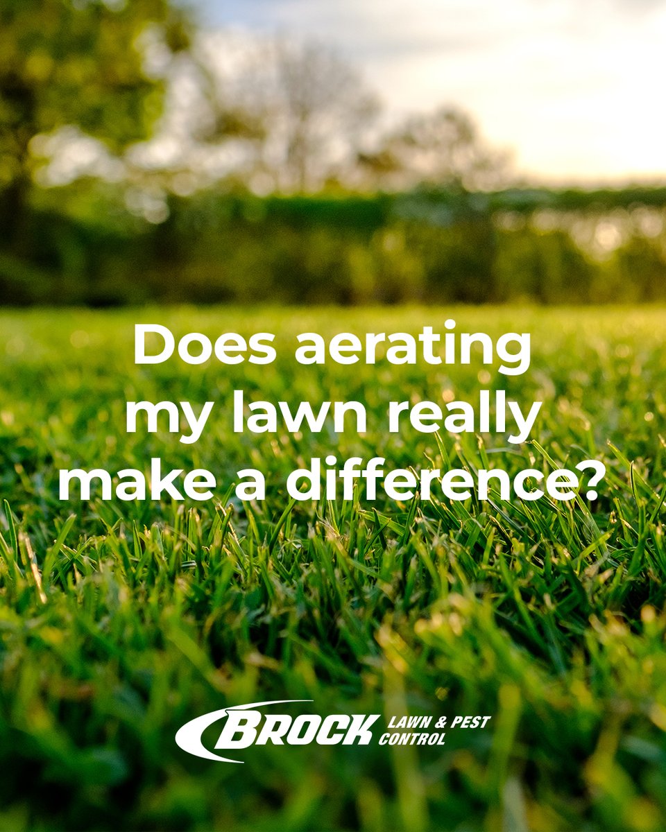 Wondering if aeration actually works?
It’s one of the best things you can do for your lawn. More oxygen = stronger roots = better grass. 💪 Let’s get yours breathing easy.🌱 brockpest.com/request-a-quot…