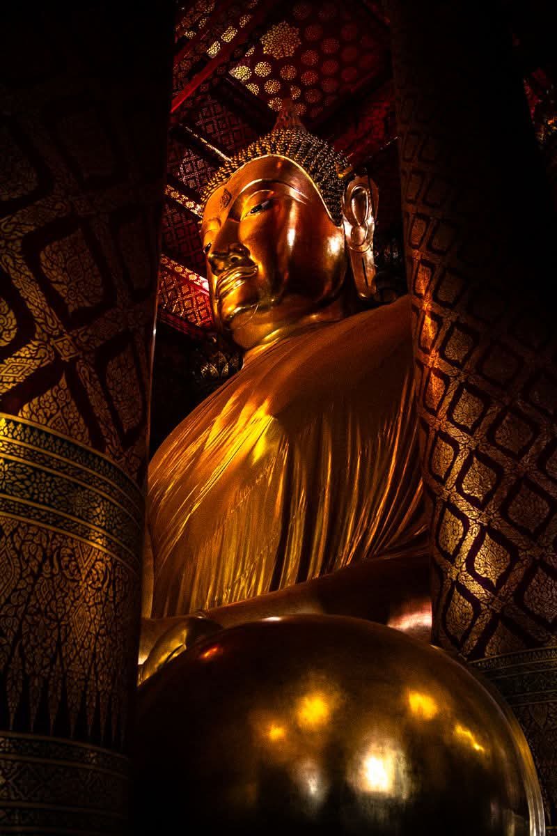 "In the silence of the mind, you will find the answers you seek."