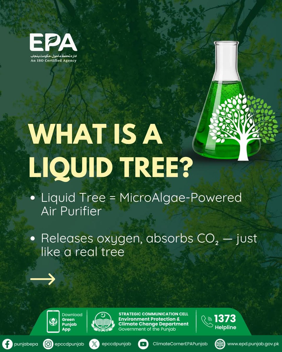 EPCCDpunjab's tweet image. A Liquid Tree is an innovative microalgae-powered air purifier designed to function like a real tree, releasing oxygen and absorbing carbon dioxide to improve air quality.

Liquid Tree — Launching Today.

#EPAPunjab #liquidtree #Bioreactor #im4climate #smogfreepunjab