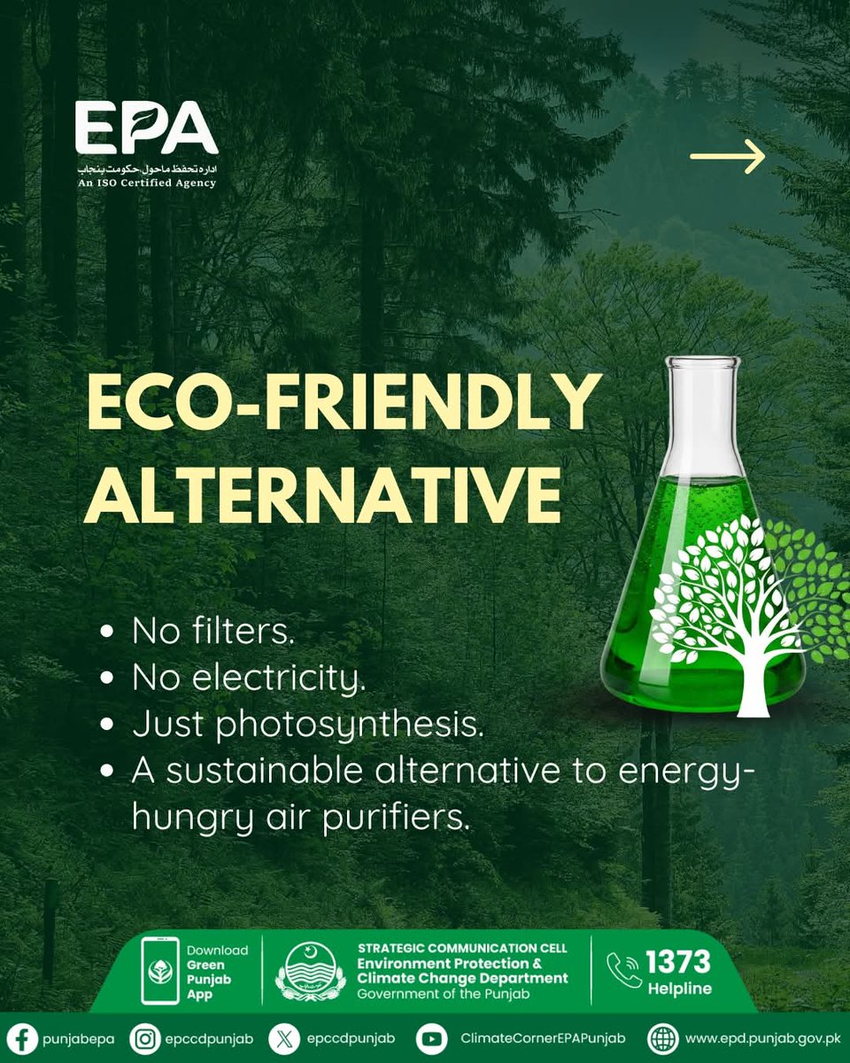EPCCDpunjab's tweet image. A Liquid Tree is an innovative microalgae-powered air purifier designed to function like a real tree, releasing oxygen and absorbing carbon dioxide to improve air quality.

Liquid Tree — Launching Today.

#EPAPunjab #liquidtree #Bioreactor #im4climate #smogfreepunjab