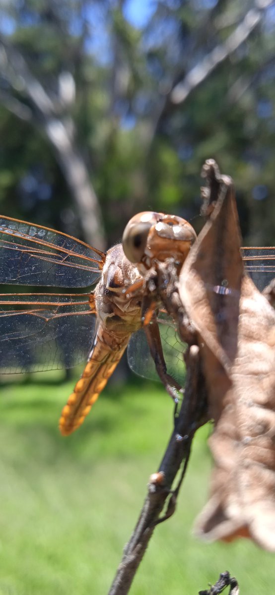"Confiar, soltar, recibir."