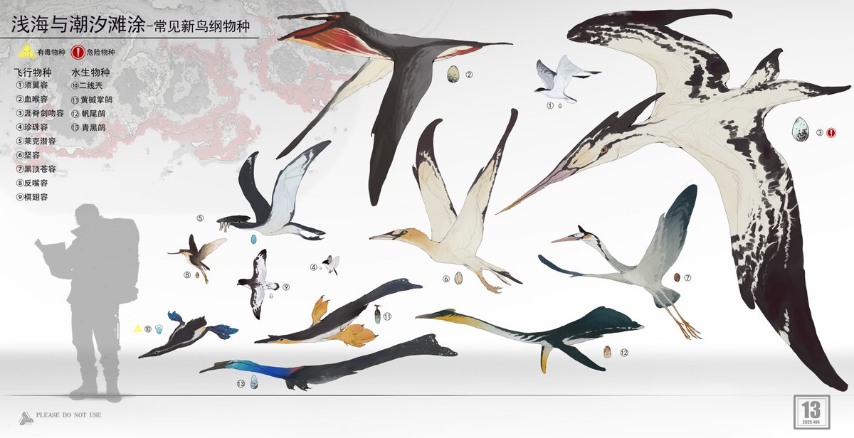 绿洲浅海与滩涂鸟类