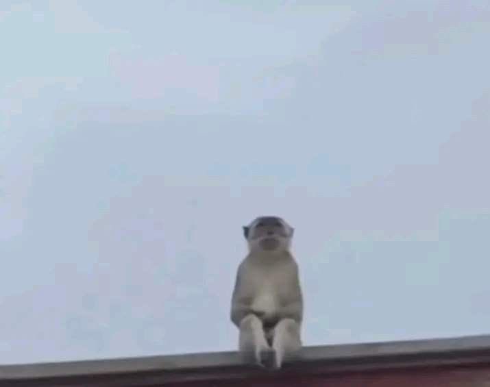 X is so confusing idk how to use it