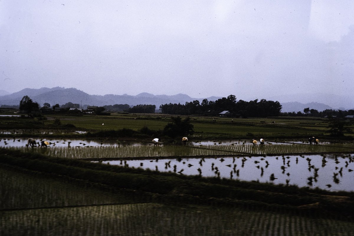 I love collecting boxes of strangers’ Kodachrome film slides. Here are some favorites I’ve found of Japan in the 1960s.
