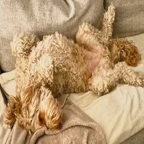 notearshe's tweet image. #willson 

Is moving fast 

7ktDnqtetJ24TU1aqEddTJUncBbrQgKzvchSwnMWpump