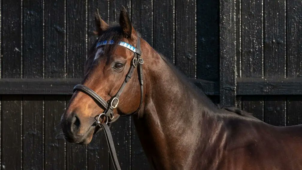 A first stakes winner for Palace Pier as Morris Dancer readily lands the Listed British Stallion Studs EBF Stonehenge Stakes at Salisbury.

Godolphin's homebred colt is out of the winning Dubawi mare Menuetto, a half-sister to the Group-placed Franz Schubert.