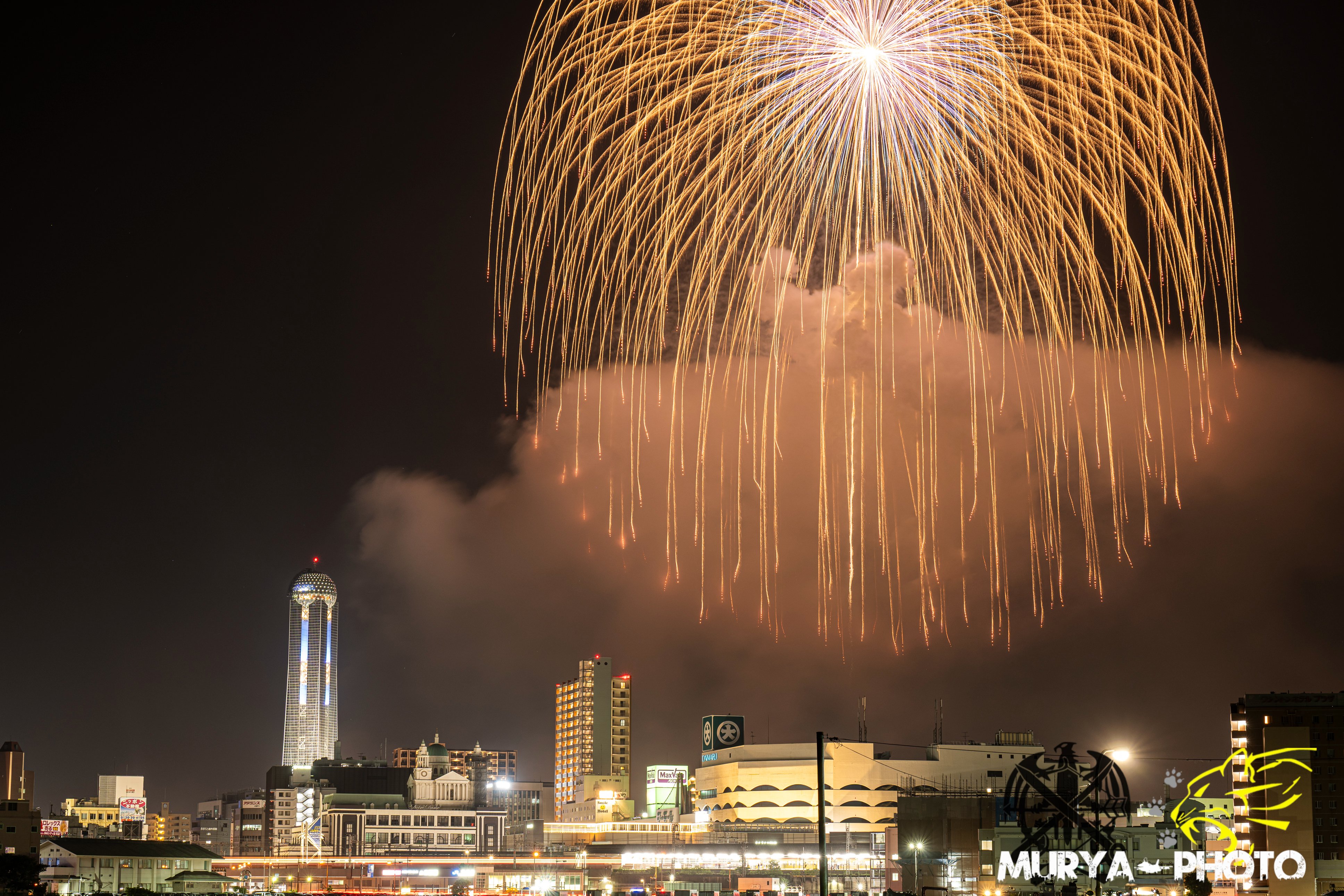 キンリョウヘンA28.A29令和7年4月4日撮影 野鳥撮影 2022年
