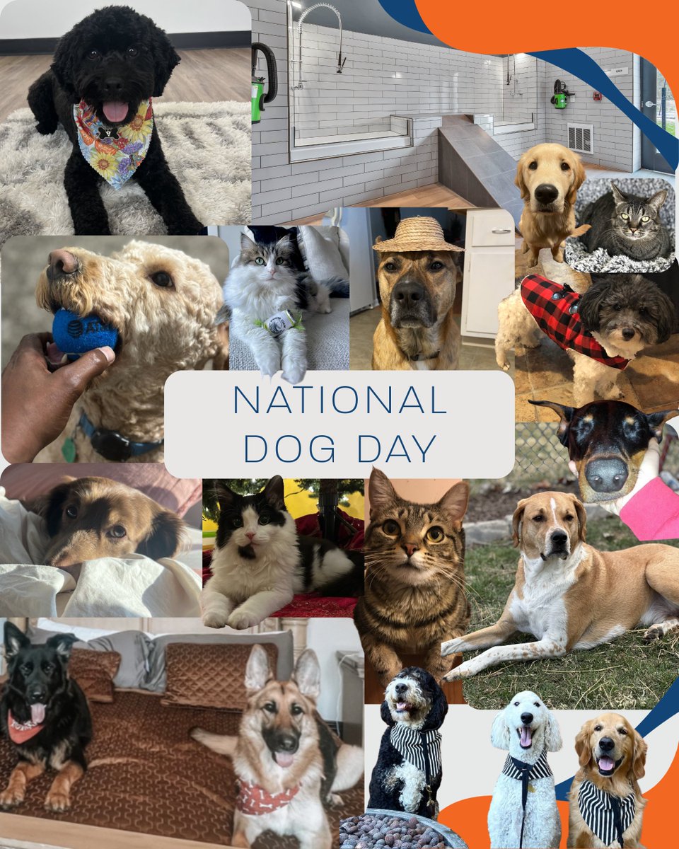 TWG Development, Management, and Construction tweet media