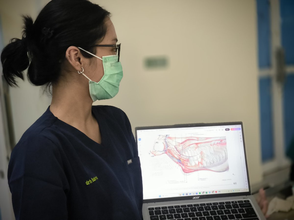 sbrnww_'s tweet photo. Back to day 1, the veterinary anatomy.

Bener-bener berasa balik ke hari pertama jadi mahasiswa kedokteran hewan, back to the very end of the root to where it all began. 

Only now, I'm the one passing the baton. https://t.co/NmYGxWGFeG