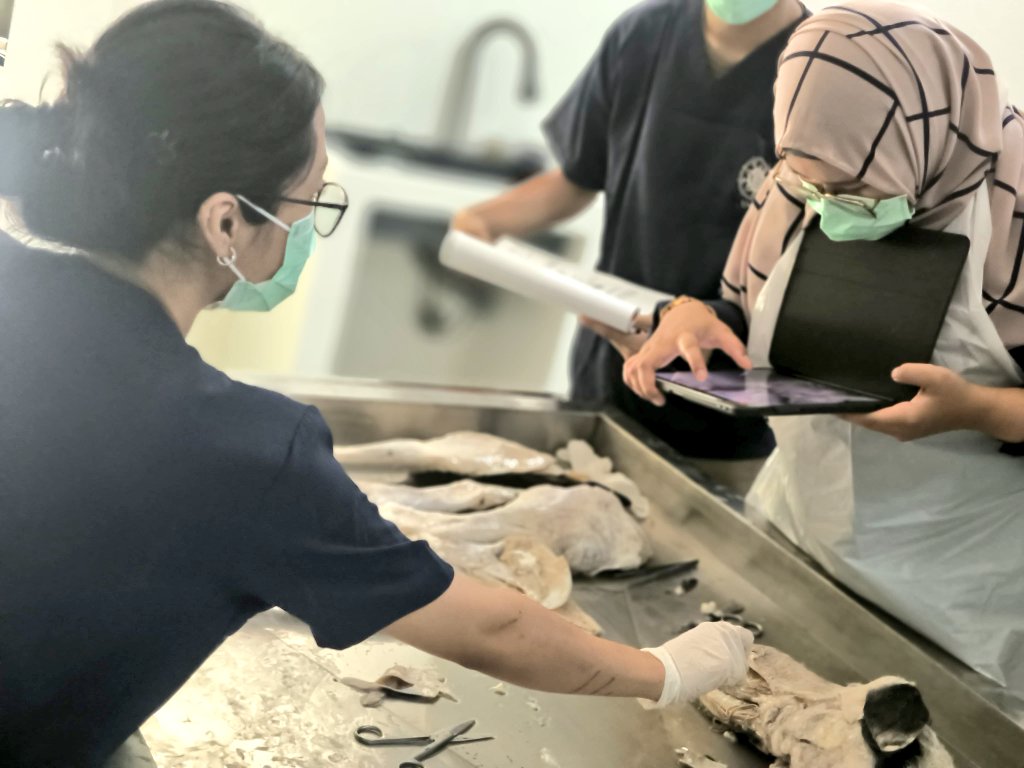 sbrnww_'s tweet photo. Back to day 1, the veterinary anatomy.

Bener-bener berasa balik ke hari pertama jadi mahasiswa kedokteran hewan, back to the very end of the root to where it all began. 

Only now, I'm the one passing the baton. https://t.co/NmYGxWGFeG