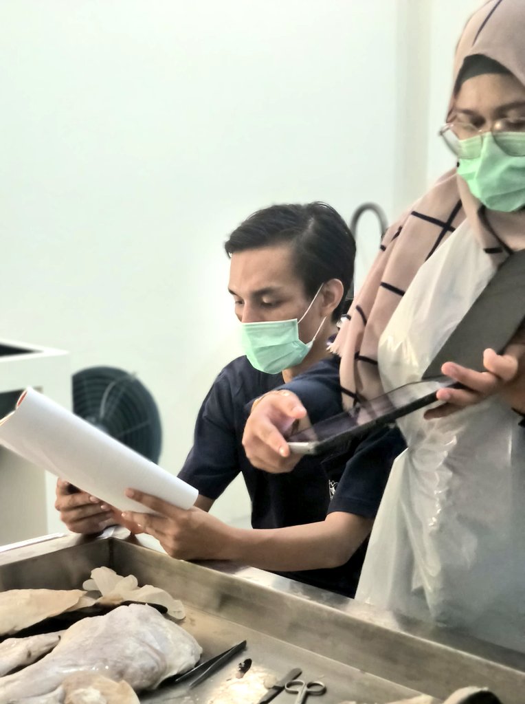 sbrnww_'s tweet photo. Back to day 1, the veterinary anatomy.

Bener-bener berasa balik ke hari pertama jadi mahasiswa kedokteran hewan, back to the very end of the root to where it all began. 

Only now, I'm the one passing the baton. https://t.co/NmYGxWGFeG