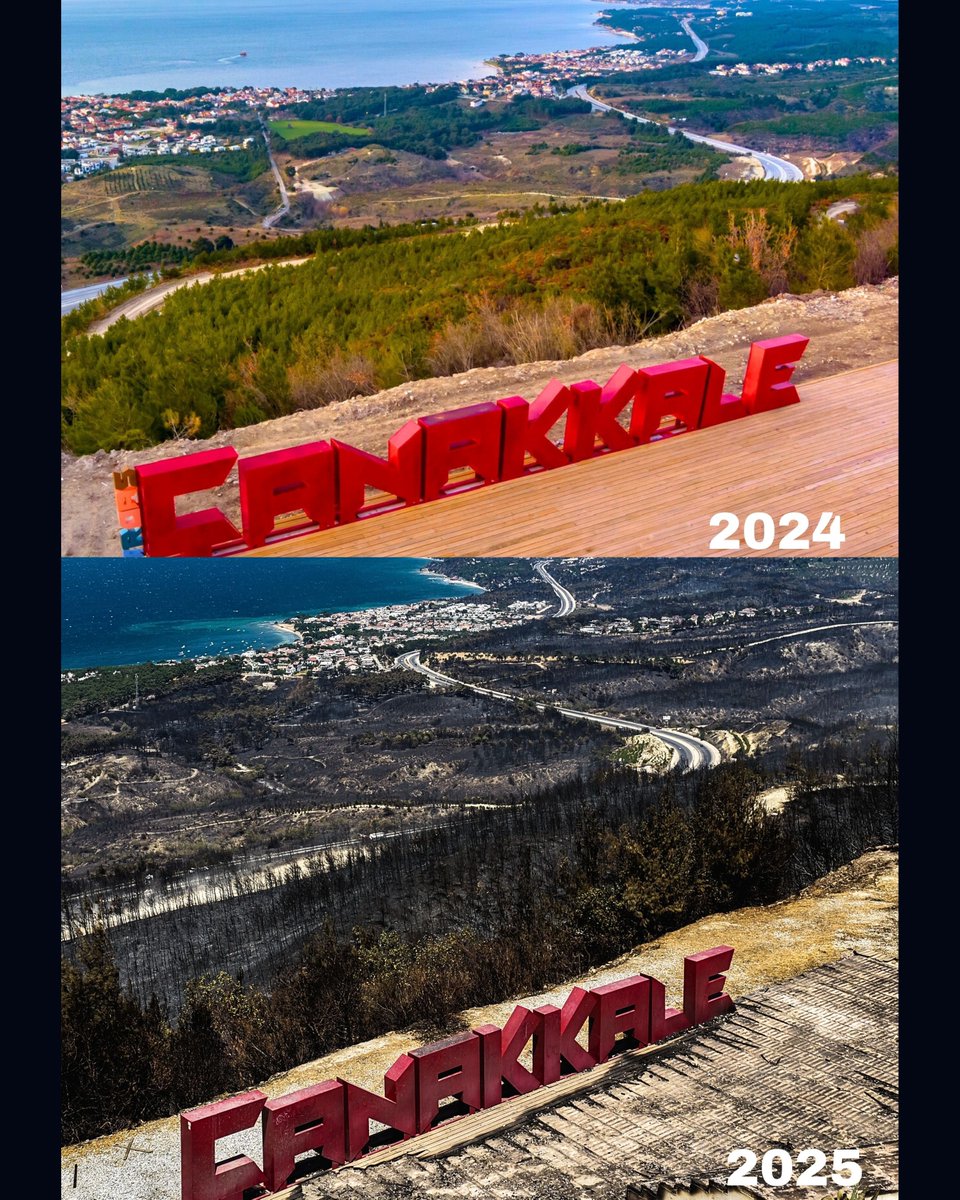 Yeniden yeşerteceğiz… 🌱