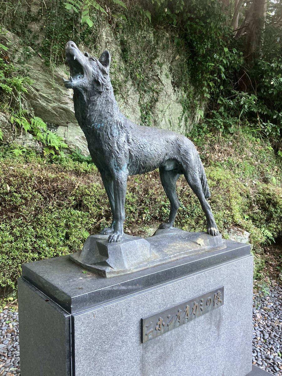 ※※最終価格です！☆★CHOKO 黒地の名古屋帯 待ちぼうけのオオカミ ★☆ 日本のアニメ総合データベース「アニメ大全」 ｜ TVアニメ『BLACK