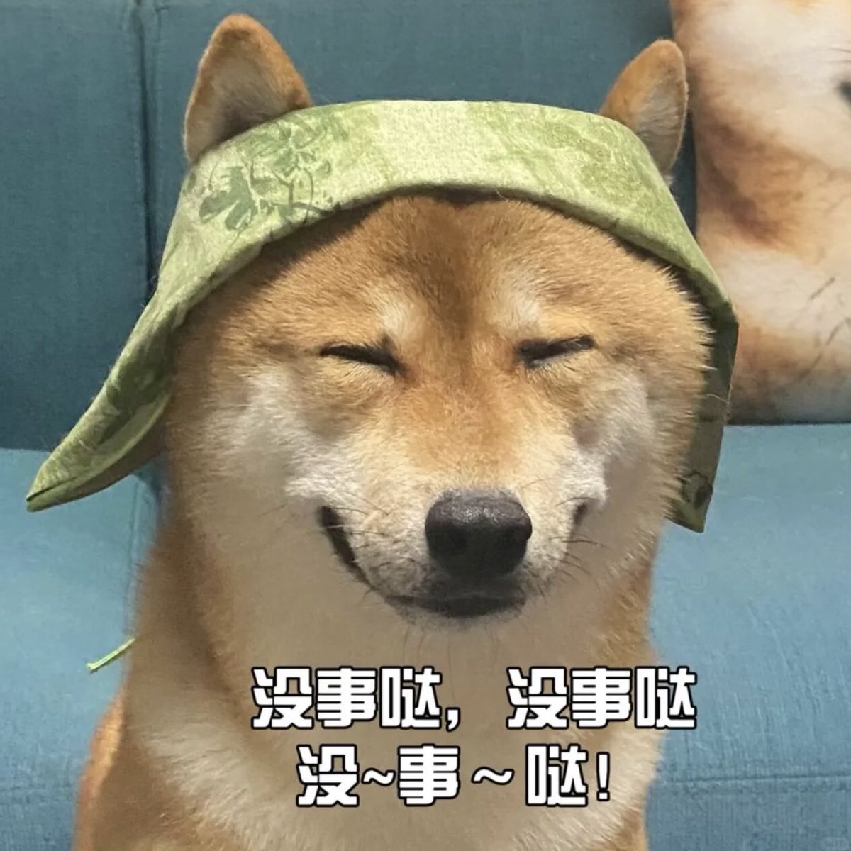 feimeey's tweet photo. 暴力开瓶可乐溅向四面八方
今天过的真惊悚✈️
……需要很多安慰的抱抱😭😭😭 https://t.co/MWHF9GbOVY