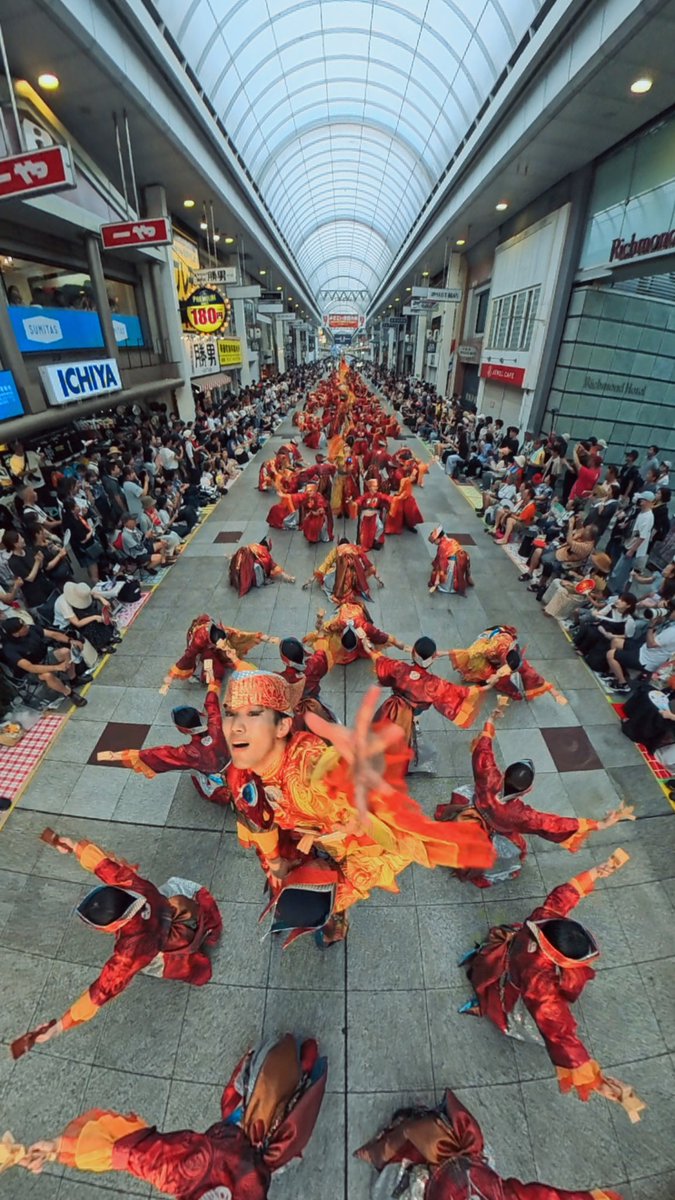 今年の高知よさこいも無事に終了、最高でした💃

#TACYON