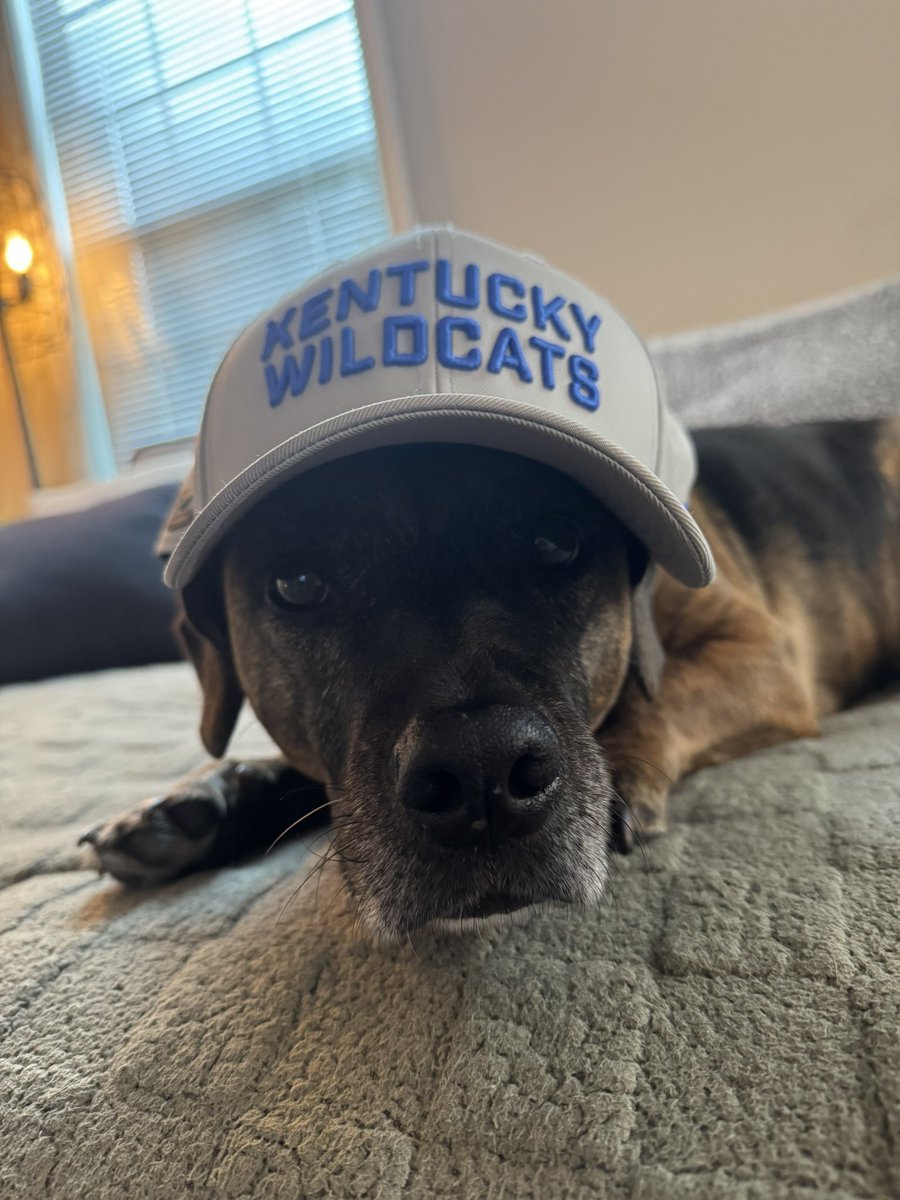 These pups want to see YOU 🫵 at Bark at the Bell tomorrow! 🐶🔔

🆚Jackson State
🕢7:30 p.m. ET
🎟️FREE Admission (for both humans and dogs)

#WeAreUK | #RingTheBell