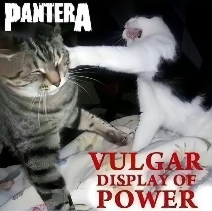 Diegazol's tweet photo. #Pantera https://t.co/hXGidJD7c1