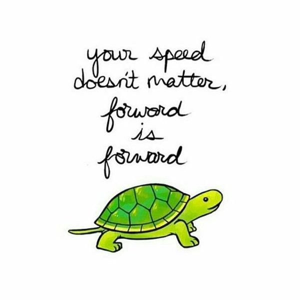 WholesomeMemes (@wholesomememe) on Twitter photo 