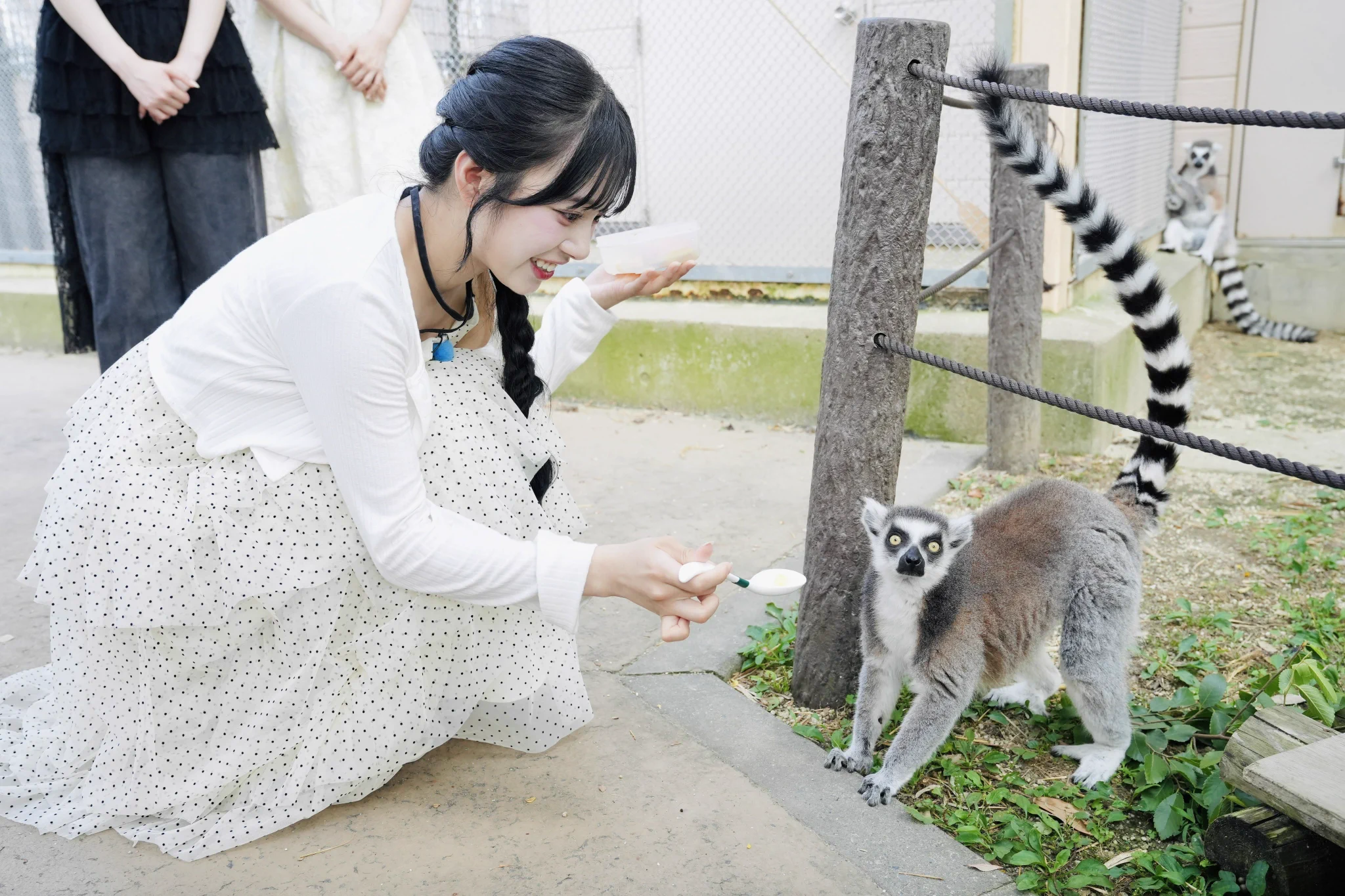 CUTIE STREET【Official】 on X: 
