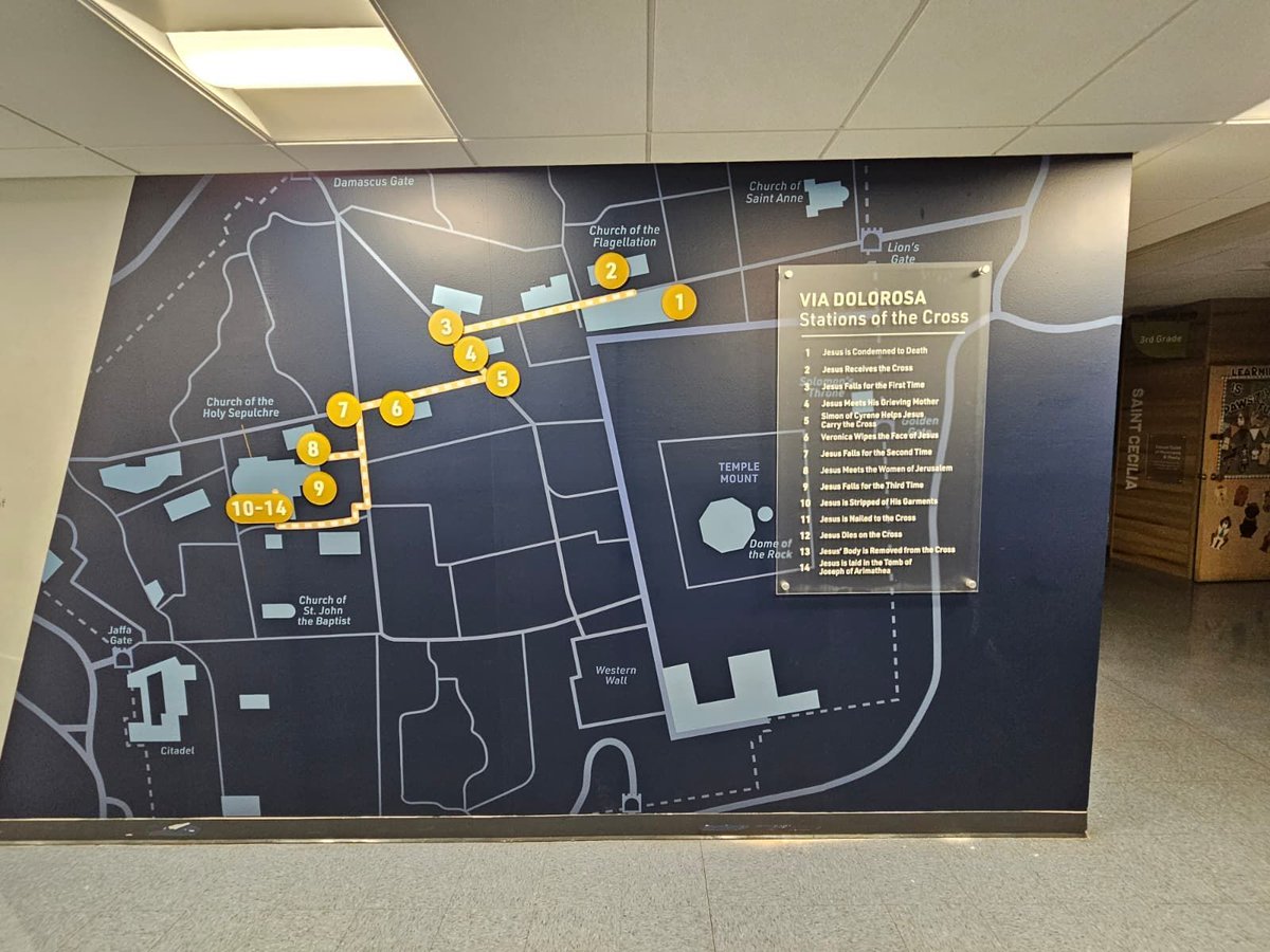 Fastsigns232's tweet photo. 📚New Library Mural designed to inspire and educate their students.

This vibrant masterpiece, layered with mounted stand-off signage, brings stories and lessons to life like never before.  #FastsignsArvada

#LibraryMural#SignageSolutions#Interactive#Education#CommunityLearning https://t.co/MR34ZAiopP