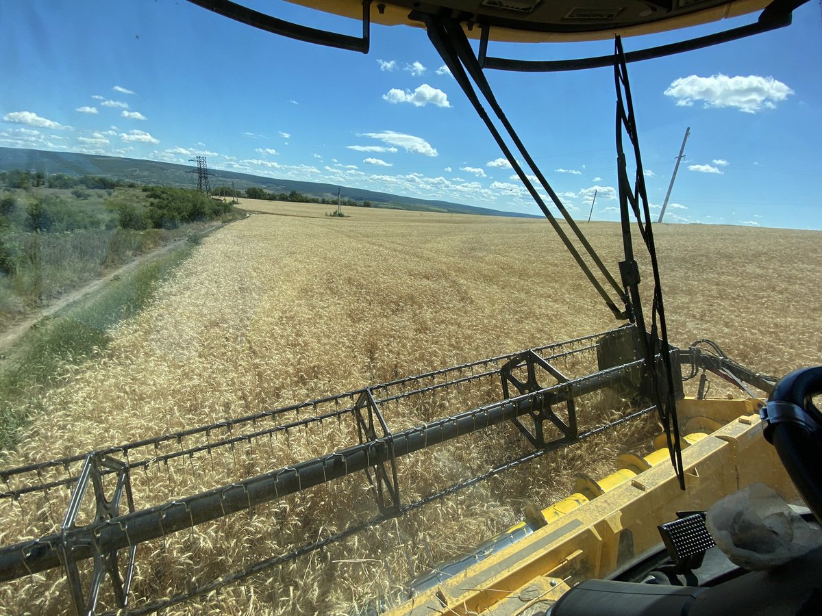 Mike Lee tweet media