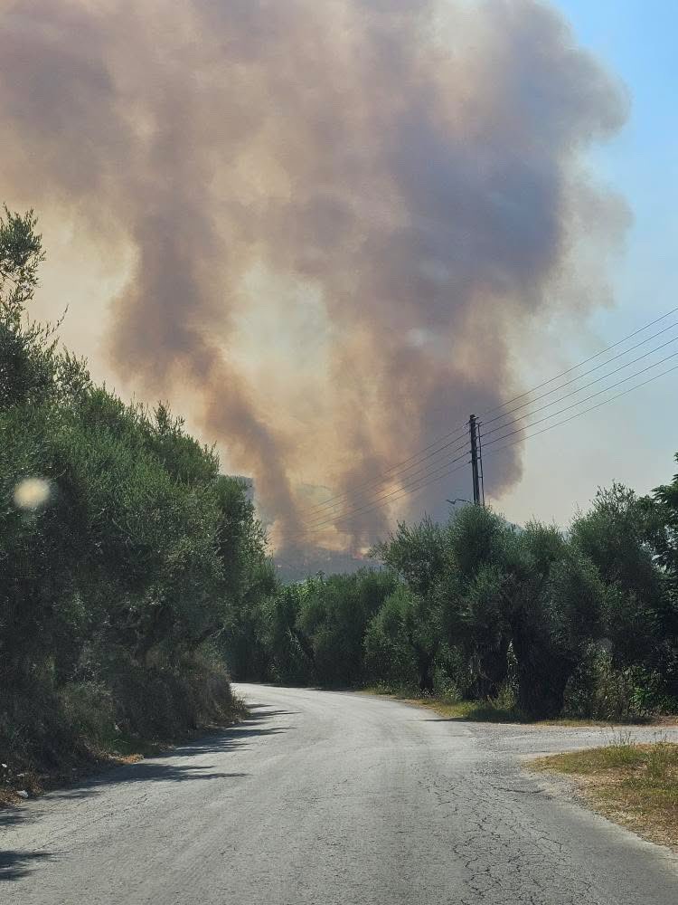 ForecastGreece's tweet photo. ⚠️🔥Εκτός ελέγχου το μέτωπο στην περιοχή στην Ζάκυνθο https://t.co/SmF0o0lmyc