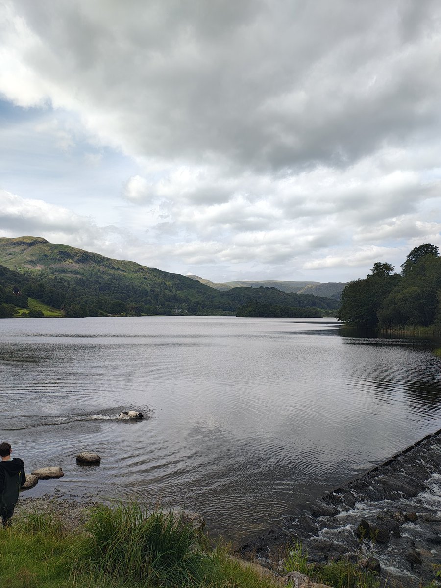 Josh Banks (@banksyweb3) on Twitter photo Good week of swimming Good week of swimming