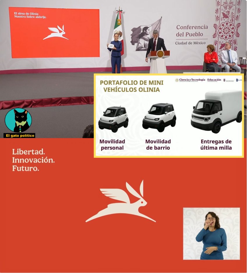 El gato político tweet media