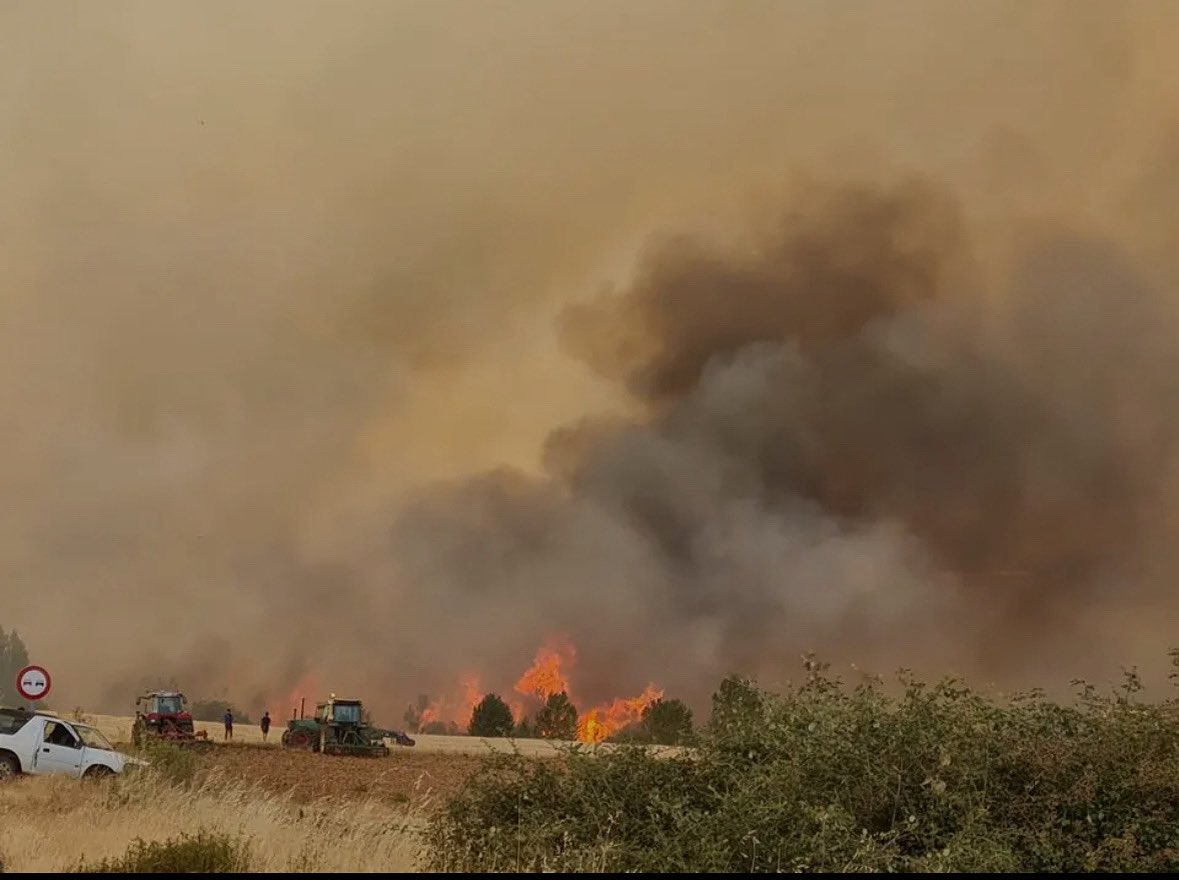 Nuestro pésame a las familias de las víctimas de los incendios. 
Todo el reconocimiento al personal, que lucha para proteger vidas y entornos naturales.
Reafirmamos nuestro compromiso con la prevención para que la información esté siempre al alcance de quienes se juegan la vida.