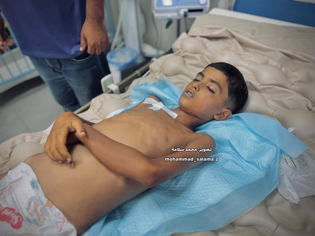 Gaza Notifications tweet media