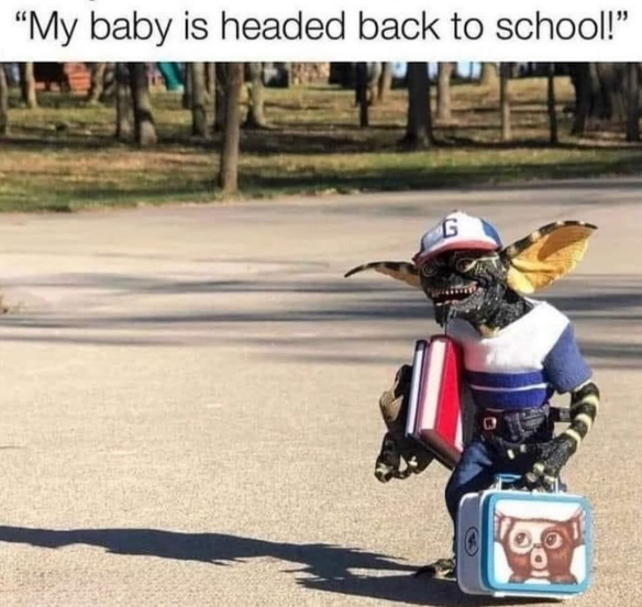 First day of school vibes 🚍🚍