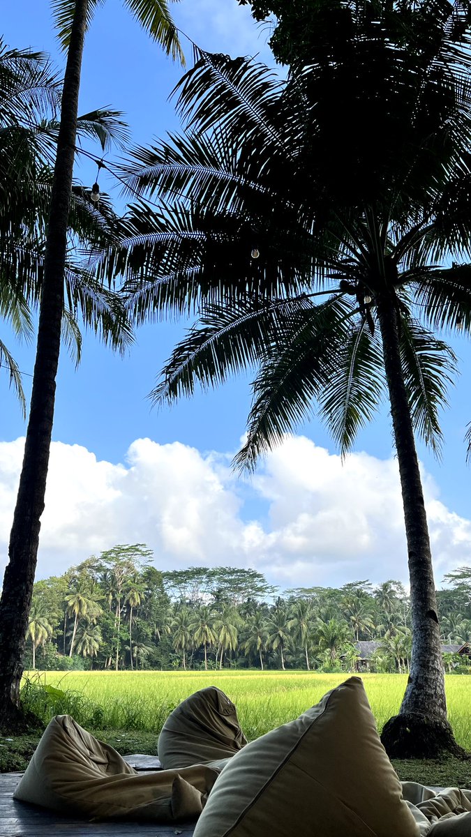 vinnzzl's tweet photo. one day, slow living in batukaras https://t.co/Kj5CT5MZay