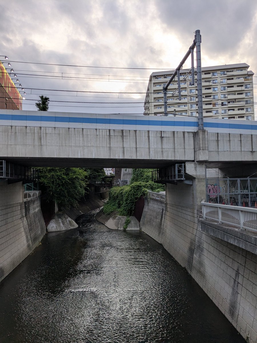 corio_jlt's tweet image. お盆の中出勤したら帰りの山手線が人身事故で止まっててしばし歩きました。デスクワークばかりだったので良い運動。